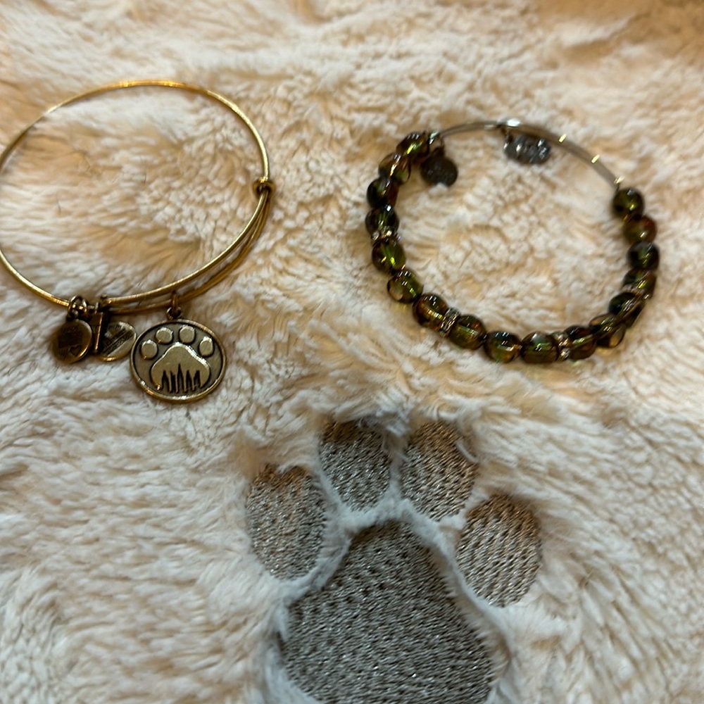 Alex and Ani paw bracelet.